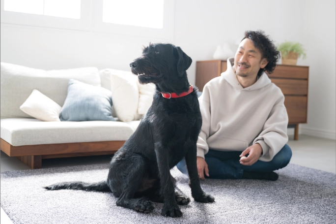 ペット共生型アパート